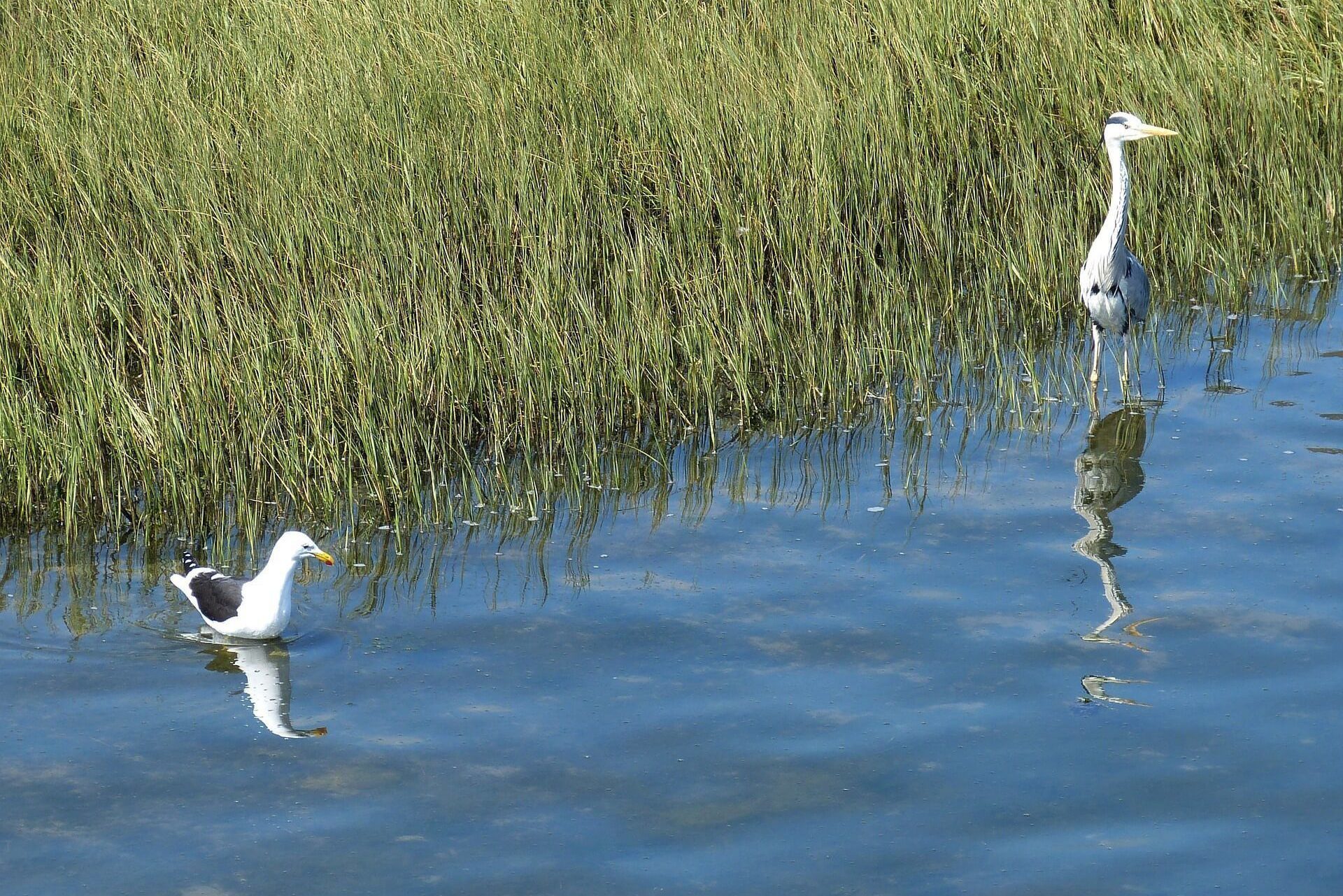 südafrika_gartenroute
