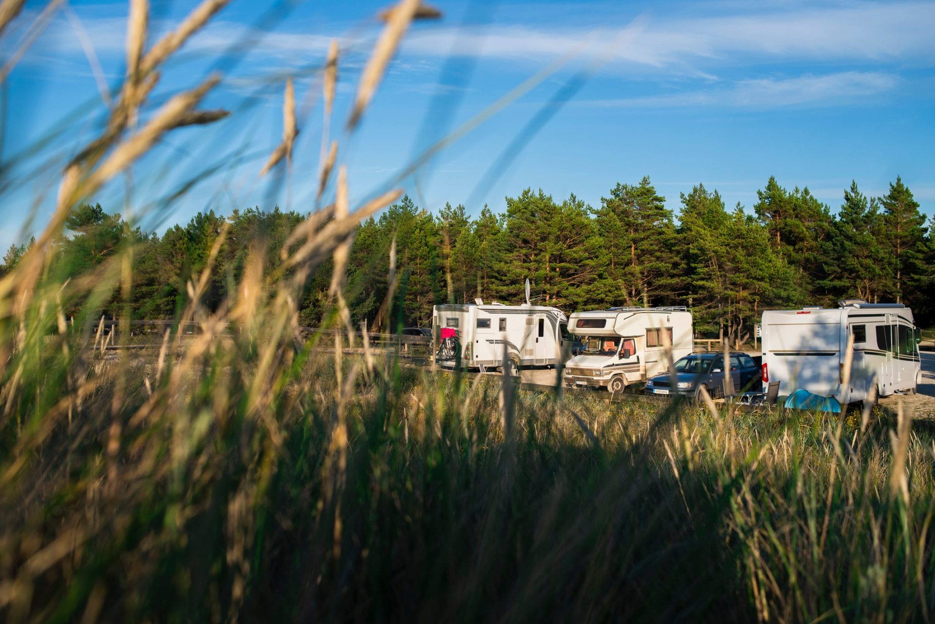 Camper auf einem Parkplatz im Wald in Estland