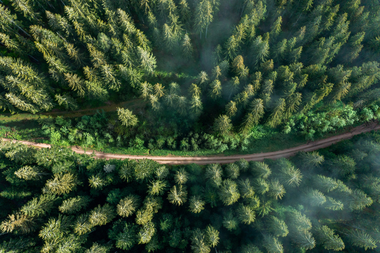 Lost Places Schwarzwald