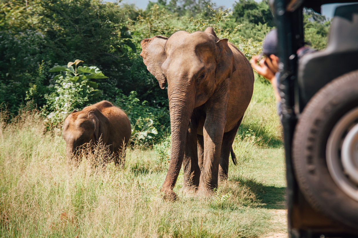 Udawalawe Nationalpark